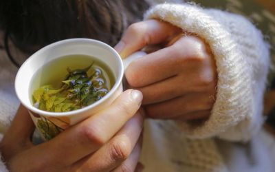 Tisane erboristeria e tradizione: come si preparano