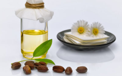 Olio di Jojoba proprietà e usi in cosmesi