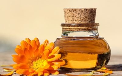 Olio di calendula proprietà ed uso