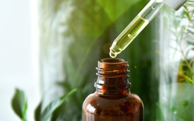 Tea tree oil usi e benefici da scoprire