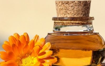 Calendula oil, properties and use