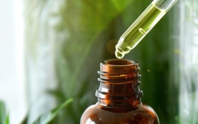 Tea tree oil benefits uses and pratical tips