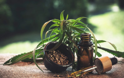 Hemp oil use and properties