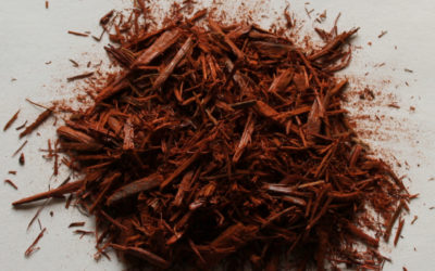 Logwood: a natural dye also for hair