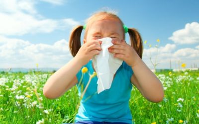 Seasonal allergies, natural remedies