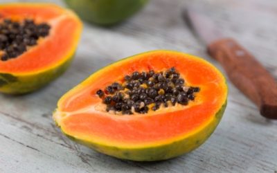 Papaya: properties and uses in herbal medicine