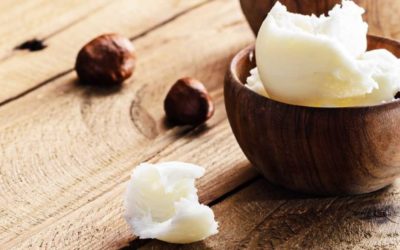 Butyrospermum parkii: use of shea butter for skin