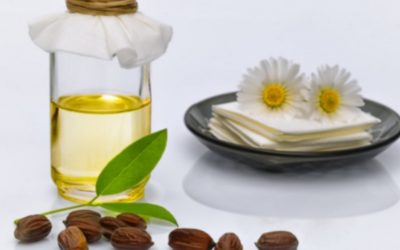 Jojoba oil benefits and uses in cosmetics