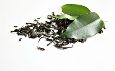 Te verde proprieta ed ultimi studi su Camellia sinensis